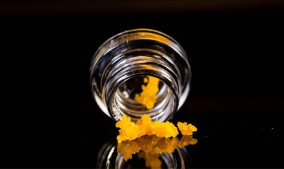 Unlocking the Secrets of Cannabis: Concentrates and Flavonoids Photo