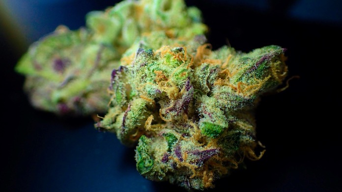 420 Colorado and the Evolution of Cannabis Culture in the State