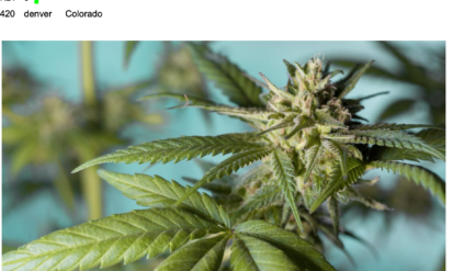 420 Denver Colorado: Where to Find the Best Deals, Dispensaries, and Cannabis Experiences Photo