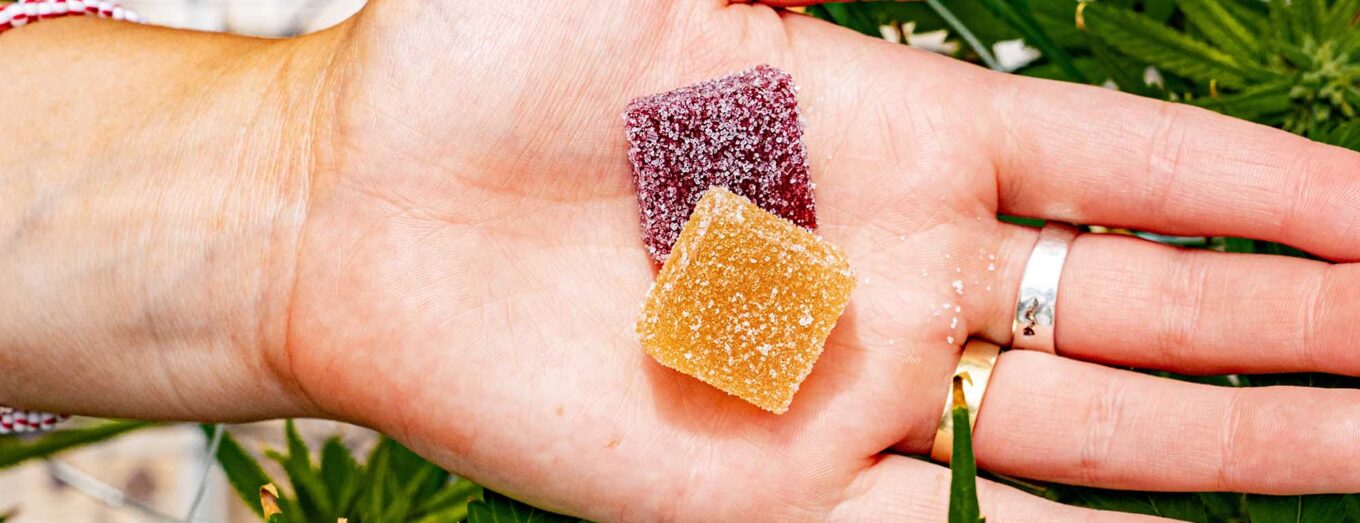 Are THC Edibles Bad for Your Liver? A Comprehensive Guide to the Health Impacts of Edibles