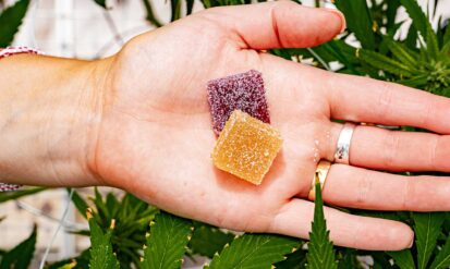 Are THC Edibles Bad for Your Liver? A Comprehensive Guide to the Health Impacts of Edibles Photo