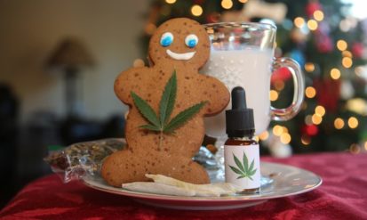 Buy the Best Gift For The Cannabis Consumer in Your Life This Holiday Season Photo
