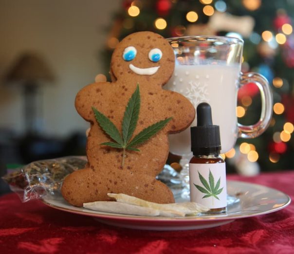 An edible gingerbread man with a marijuana leaf on its chest sits on a plate next to a cannabis tincture from Options Cannabis in a holiday place setting