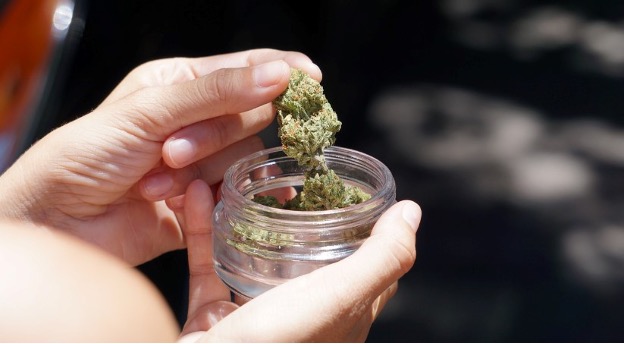 Weed in Arvada Colorado: A Local Guide to Cannabis Access