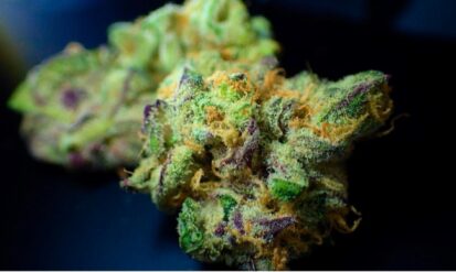 Understanding the Implications of Rescheduling Marijuana to Schedule III for Consumers and the Cannabis Industry Photo
