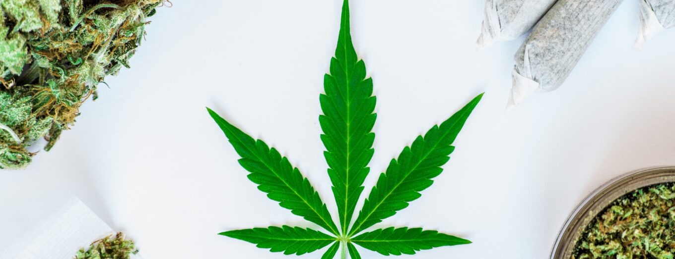 Best Dispensary in Arvada: An Educational Guide to Finding Quality Cannabis