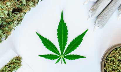 Best Dispensary in Arvada: An Educational Guide to Finding Quality Cannabis Photo