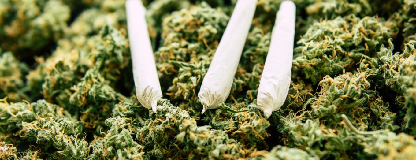 Why Visit a Dispensary in Lakewood, Colorado