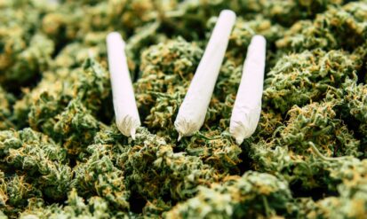 Why Visit a Dispensary in Lakewood, Colorado Photo