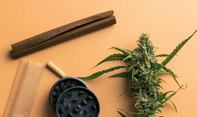 Are Edibles As Bad For Your Liver As Alcohol Are THC Edibles Bad for Your Liver? A Comprehensive Guide to the Health
