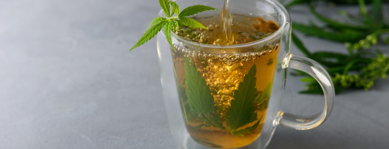 How to Make Cannabis Tea Effectively and Easily