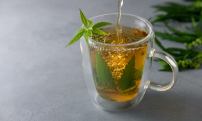 How to Make Cannabis Tea Effectively and Easily Photo
