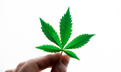 Dispensaries in North Denver: Your Quick Guide (and Why Options Cannabis CO Is Worth the Short Drive) Photo