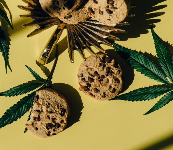 how to make edible cannabis