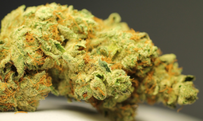 Sour Diesel Denver: Why This Classic Cannabis Strain Continues to Stand Out Photo