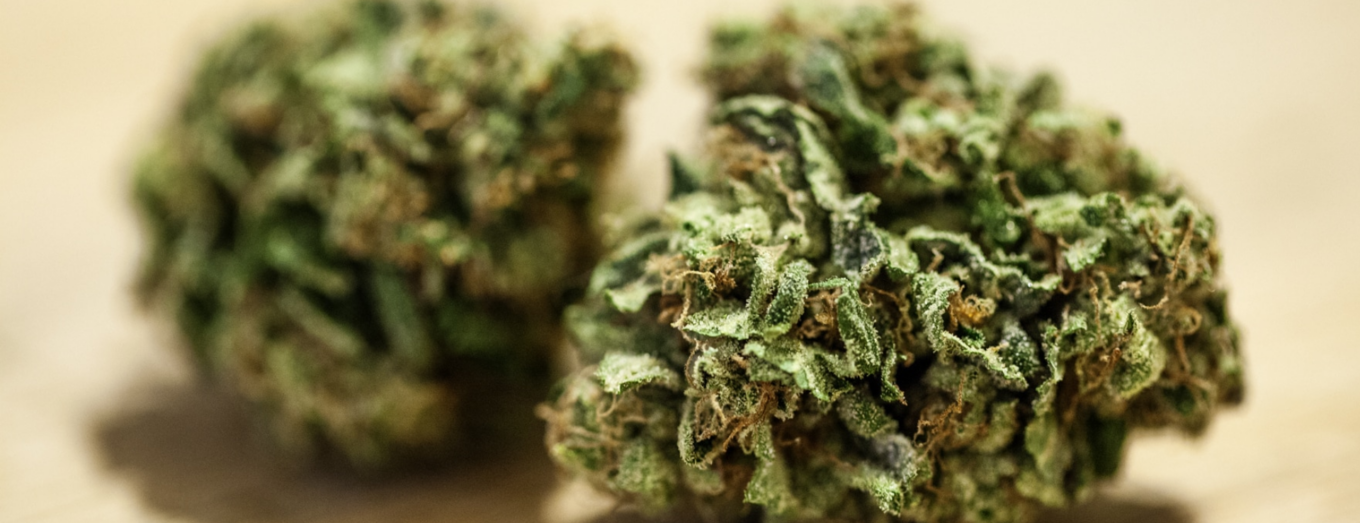 How Is THCA Different Than THC? A Guide for Cannabis Shoppers