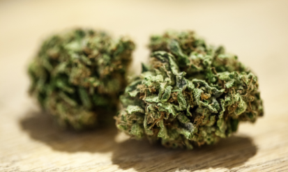 How Is THCA Different Than THC? A Guide for Cannabis Shoppers Photo