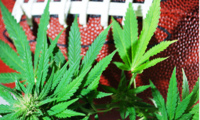 Cannabis and Football Season: A Colorado Game Day Guide Photo