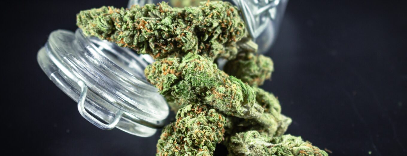 Live Resin vs Concentrate: the quick answer, the deeper comparison, and how to choose