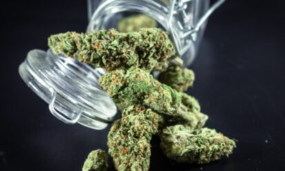 Live Resin vs Concentrate: the quick answer, the deeper comparison, and how to choose Photo