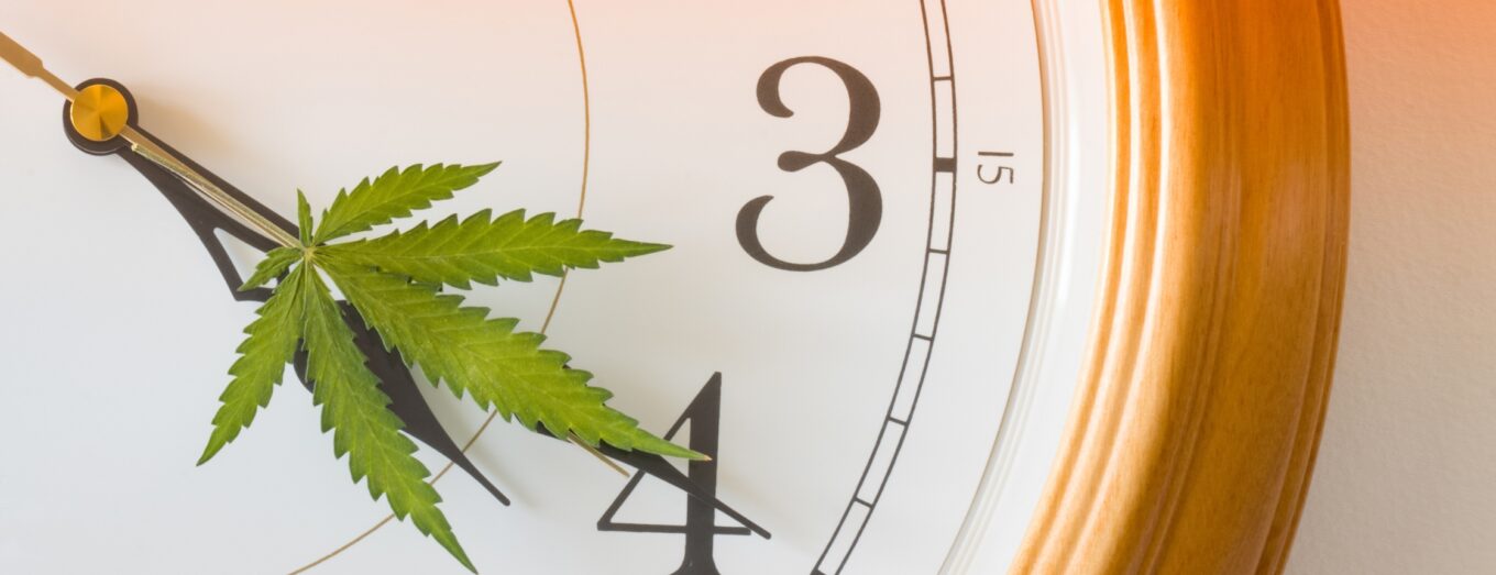 Discover the Golden Colorado Dispensary Scene with Options Cannabis