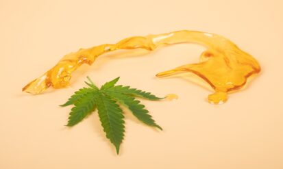 Marijuana Concentrate: what it is, how it’s made, and how to choose the right format Photo